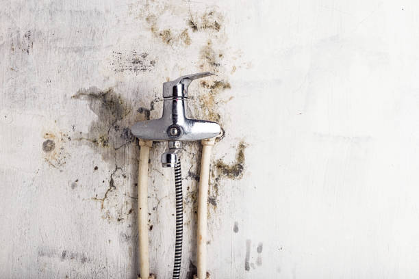 Best Certified Mold Removal  in Scottdale, GA