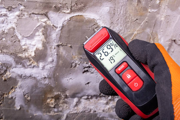 Best Mold Testing and Removal  in Scottdale, GA