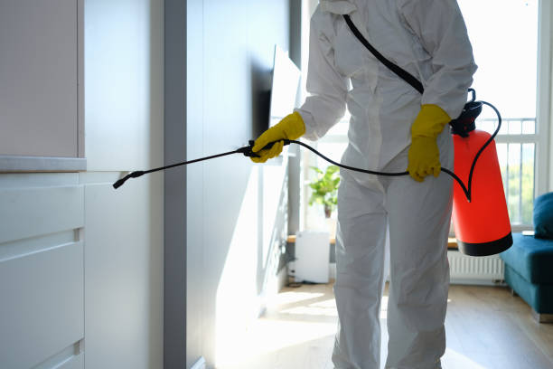 Certified Mold Removal in Scottdale, GA