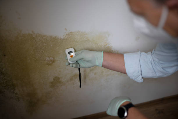 Best Professional Mold Removal  in Scottdale, GA