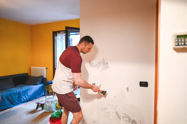 Best Local Mold Removal Service  in Scottdale, GA